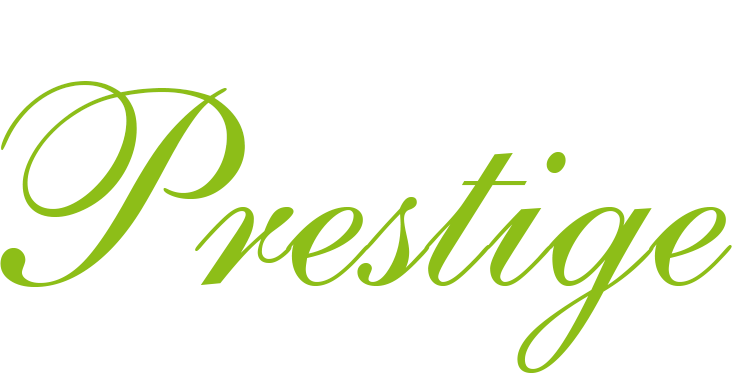 logo(Meca-prestige)